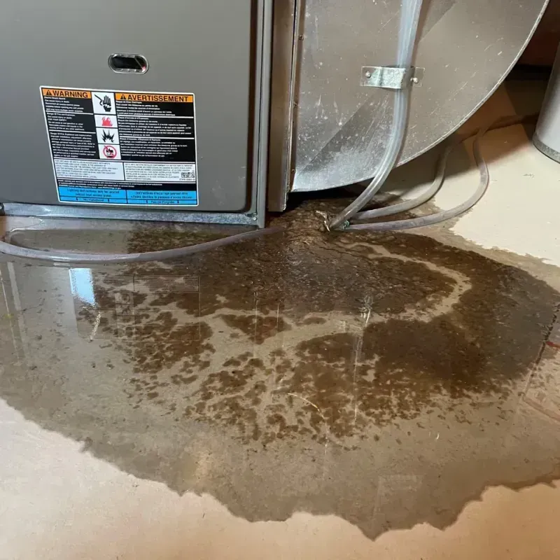 Appliance Leak Cleanup in Rainelle, WV